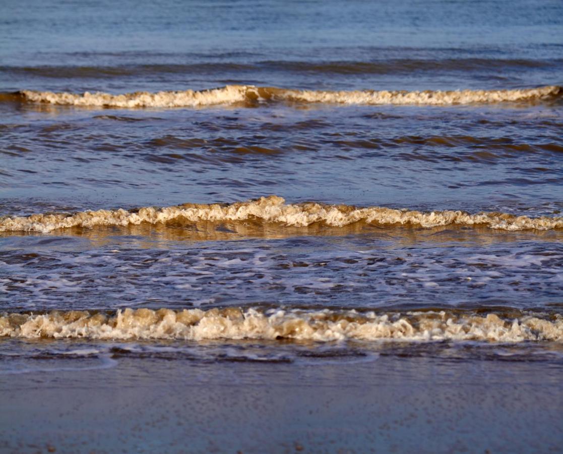 Polderhuis Voor 8-10 Personen Aan Zee Nieuwvliet Eksteriør bilde